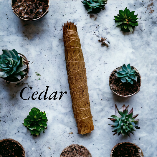 Cedar bundle