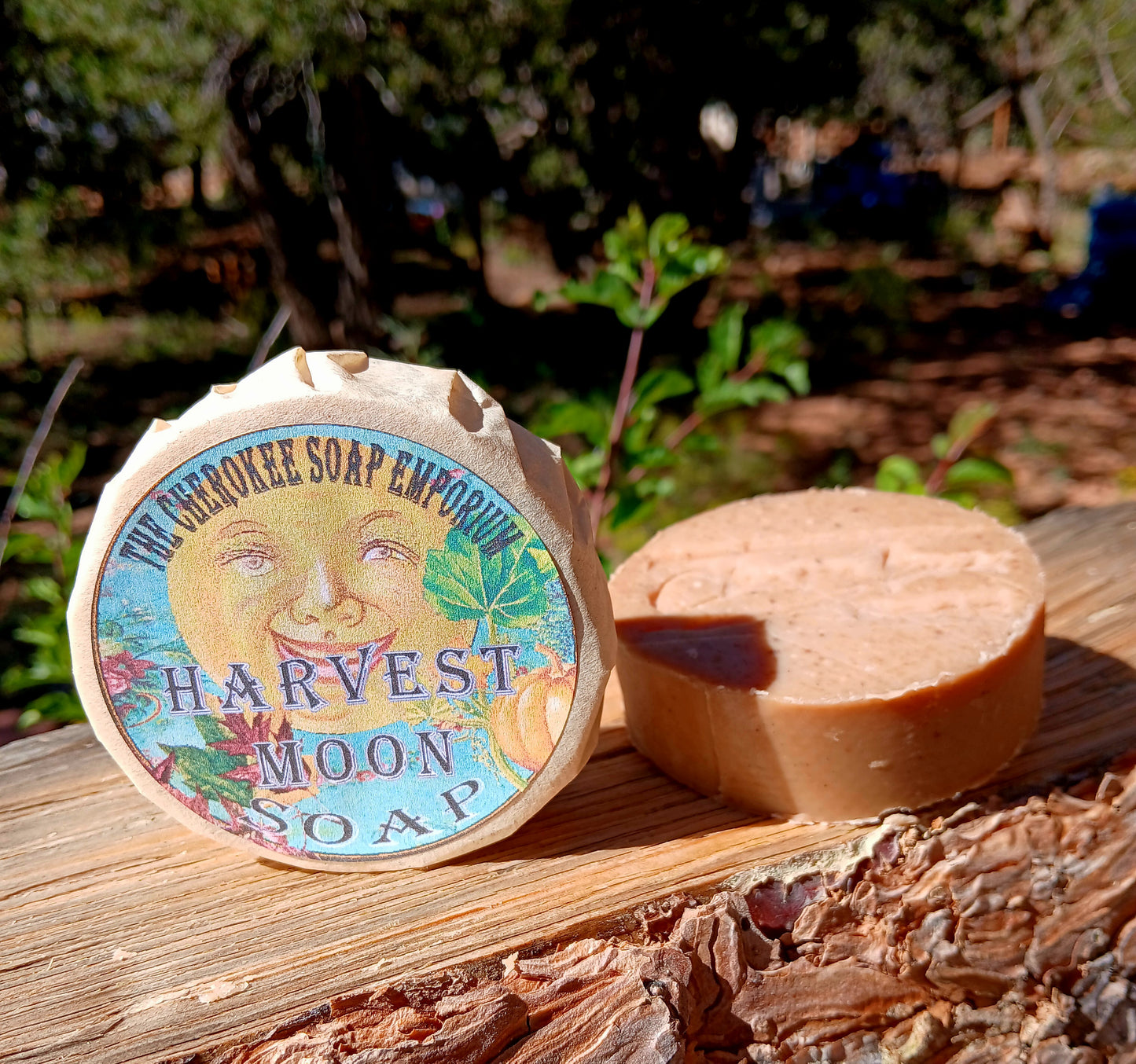 Harvest Moon